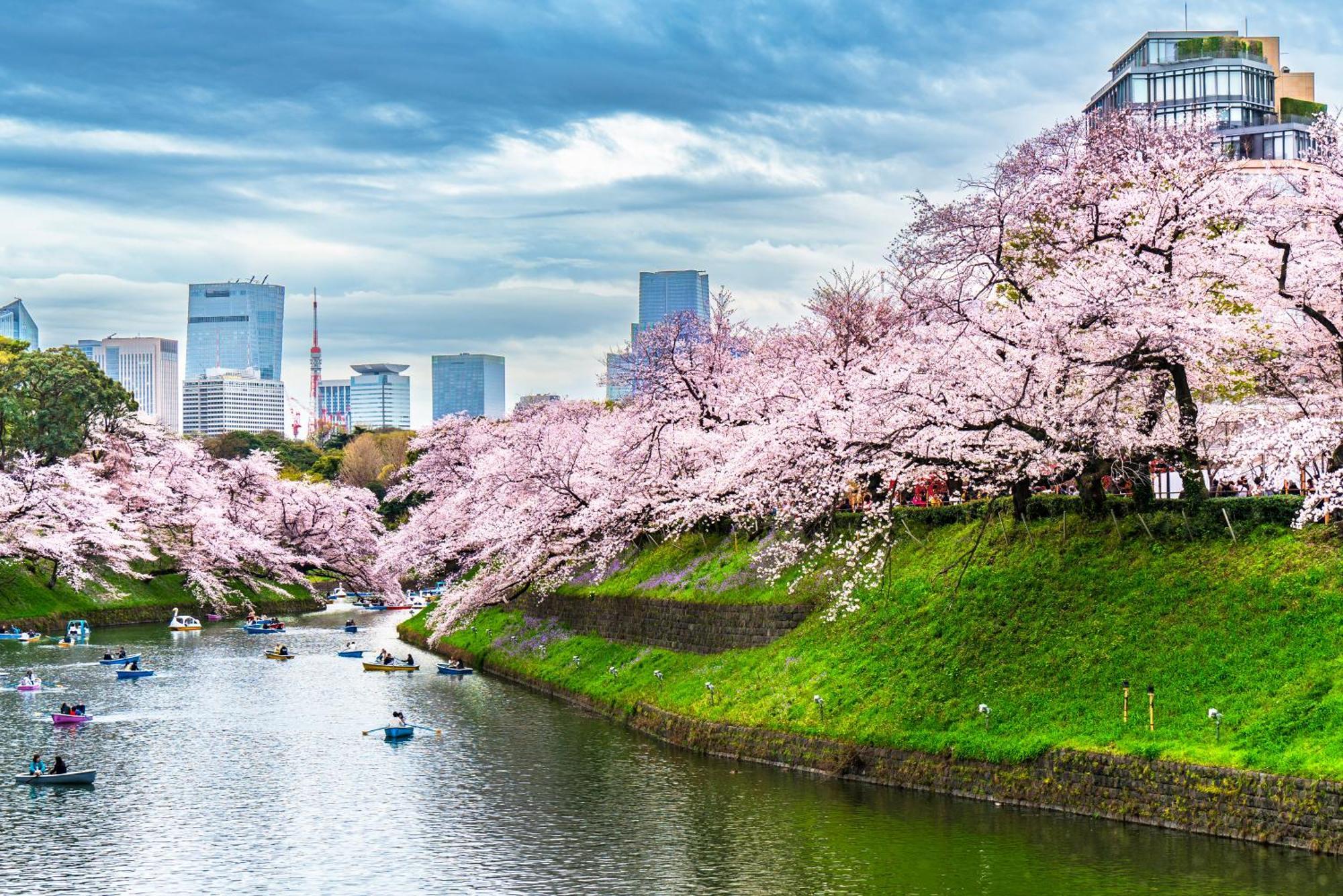 Ikebukuro no Yado Villa Tokyo Eksteriør billede